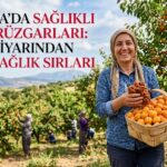 Malatya’nın Kültür Sanat Damarı: Geçmişten Geleceğe Bir Köprü